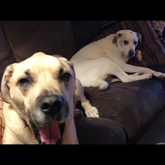 Meet your Posh Ambassador Jamie V!! - Picture 2 of 6